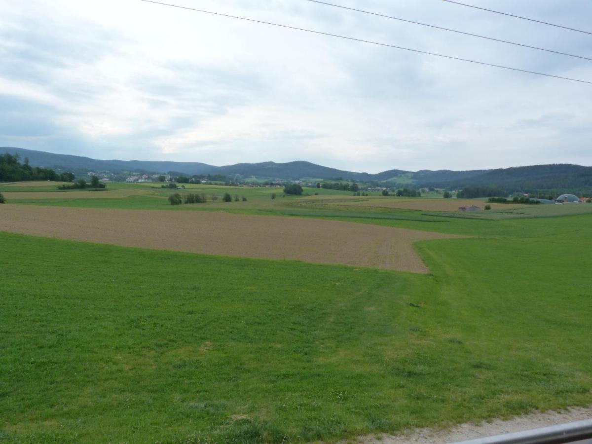Ferienwohnung Spachtholz Waldmünchen エクステリア 写真