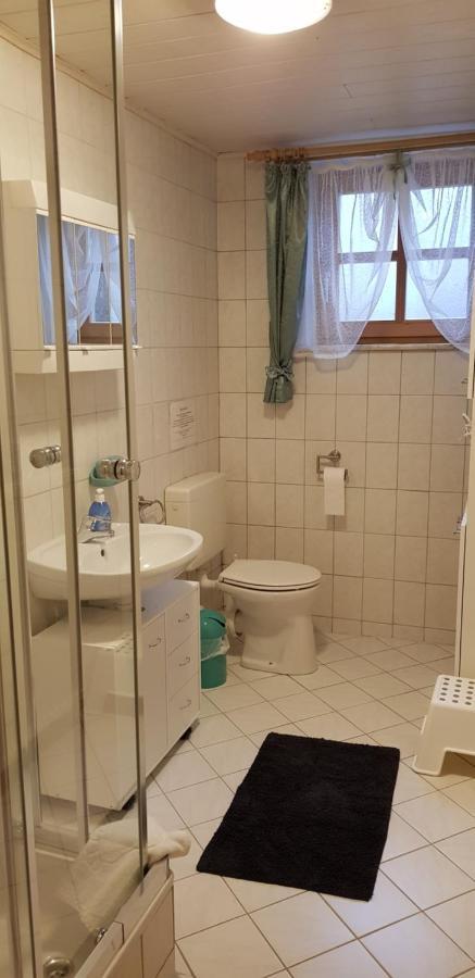 Ferienwohnung Spachtholz Waldmünchen エクステリア 写真